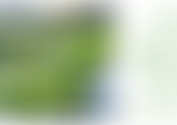 【冬季限り】「しまなみリーフ」が今年も11月1日より販売開始〜中国トラベル共同企画「ウェルネスバスツアー」では収穫体験も〜