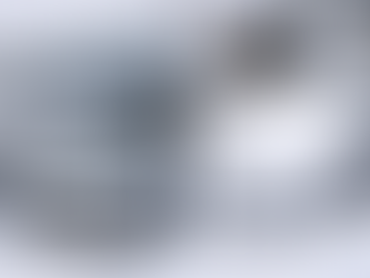 新築外構で後悔しないカーポート選び｜メリット・時期・メーカー比較