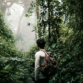 mountain springs resort trekking.jpg