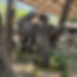 Mountain Springs 3.jpg