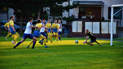 DSC_4860 (2)