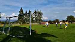 DSC_4627 (2)
