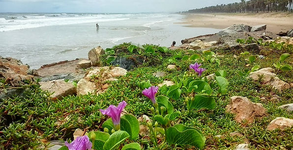 F COQUEIRAL PRAIA DA COSTA - BARRA EDUARDO JESUS (3).jpg