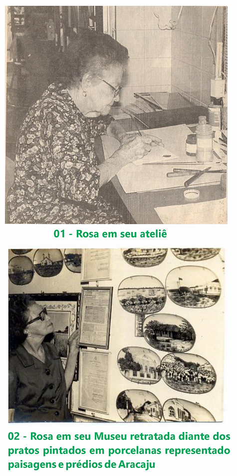 Rosa Faria Bio2.png