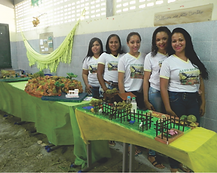 chão de coqueiros