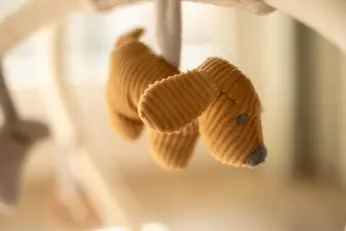 Photographe naissance en Seine-et-Marne – photo de nouveau-né à Roissy-en-Brie