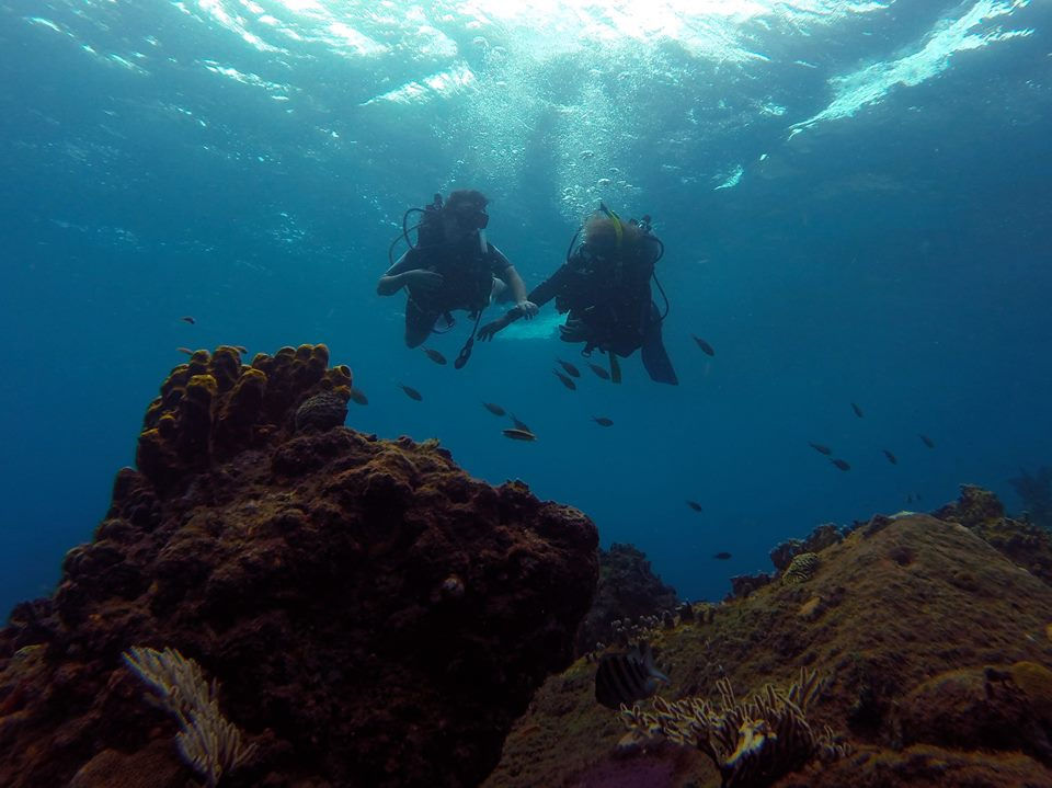 Under the sea