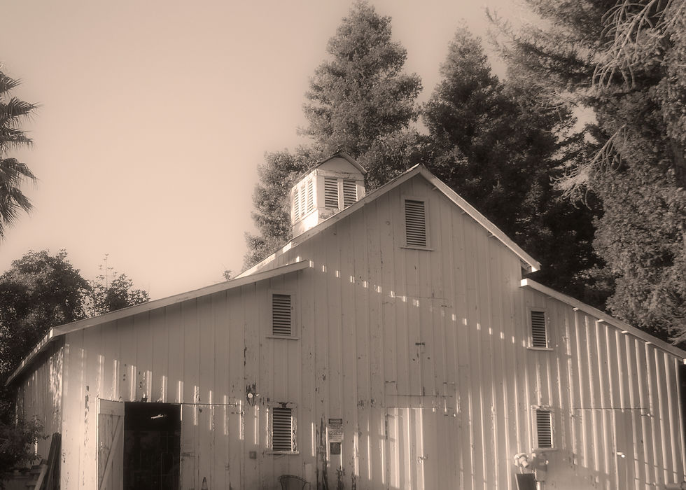 Goleta_Barn