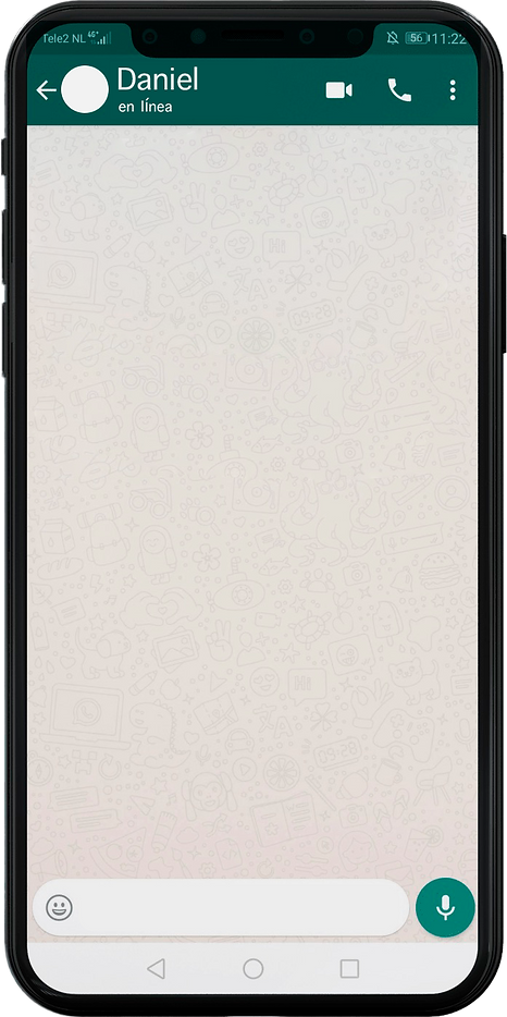 Iphone Skin whats.png