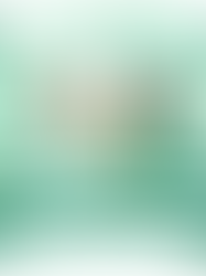 Learn how a business coach builds trust-based accountability so teams feel safe holding each other to higher standards—without micromanagement.