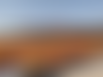 From Farm to Global Flavor : Chili, Turmeric & Other Spices