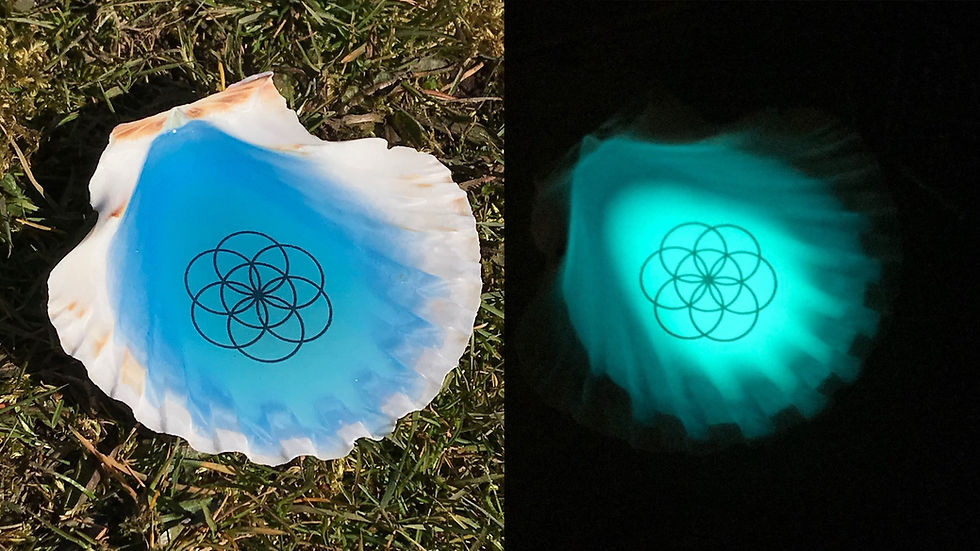 Thumbnail: Afterglow Scallop shells