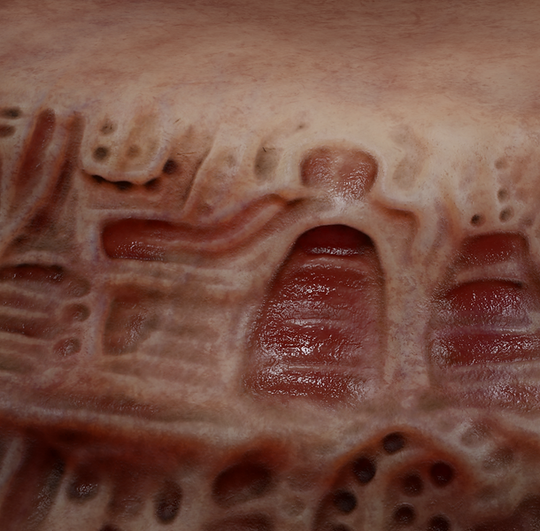 Flesh Pedestal