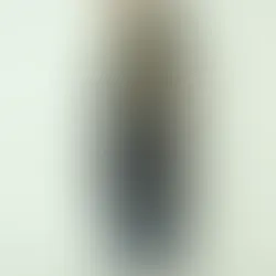 RISLEYメッシュロングジレ　R2501MPG788