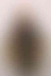 Daniel Zarmanno assinará figurinos de finalistas da Corte Real LGBT+ do Carnaval 2026