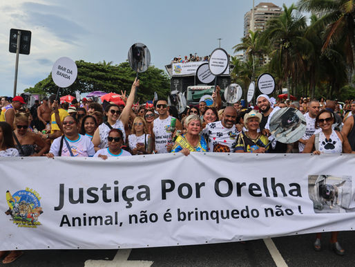 Pré-Carnaval espalha a folia por diferentes bairros do Rio