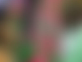 Lins Imperial realiza final de samba-enredo neste sábado