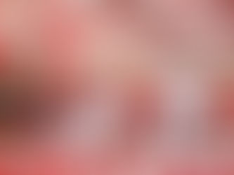 Salgueiro segue com 7 sambas em disputa neste sábado (6)