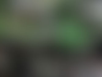 Segunda eliminatória do samba-enredo do Império Serrano acontece neste sábado (4)