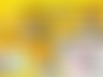 12ª edição do Troféu Gato de Prata no Clube Municipal