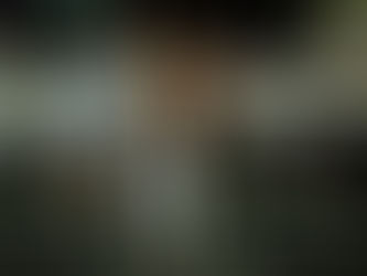 Tuiuti realiza último ensaio de rua da temporada nesta segunda (05)