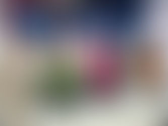 Mangueira inaugura Polo de Ensino Superior gratuito