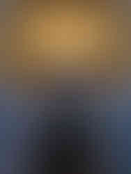 Paraíso do Tuiuti pede bênçãos a Nossa Senhora Aparecida antes do desfile oficial