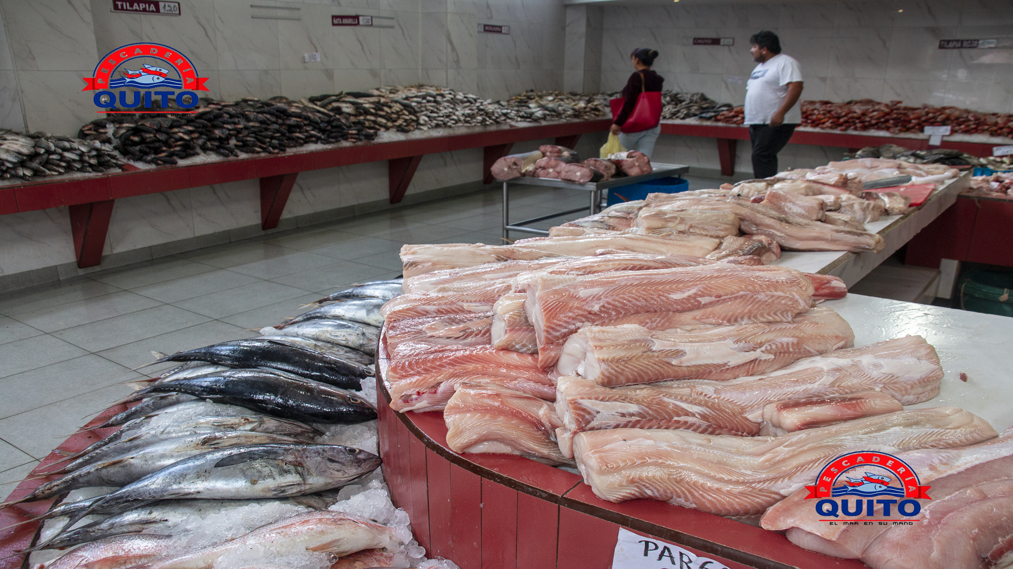 Copia de Copia de bs