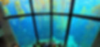 Monterey Bay aquarium