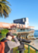 cannery row