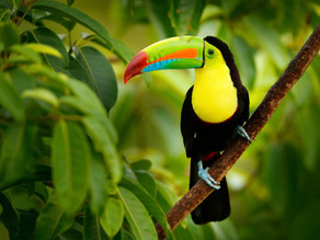Costa Rica
