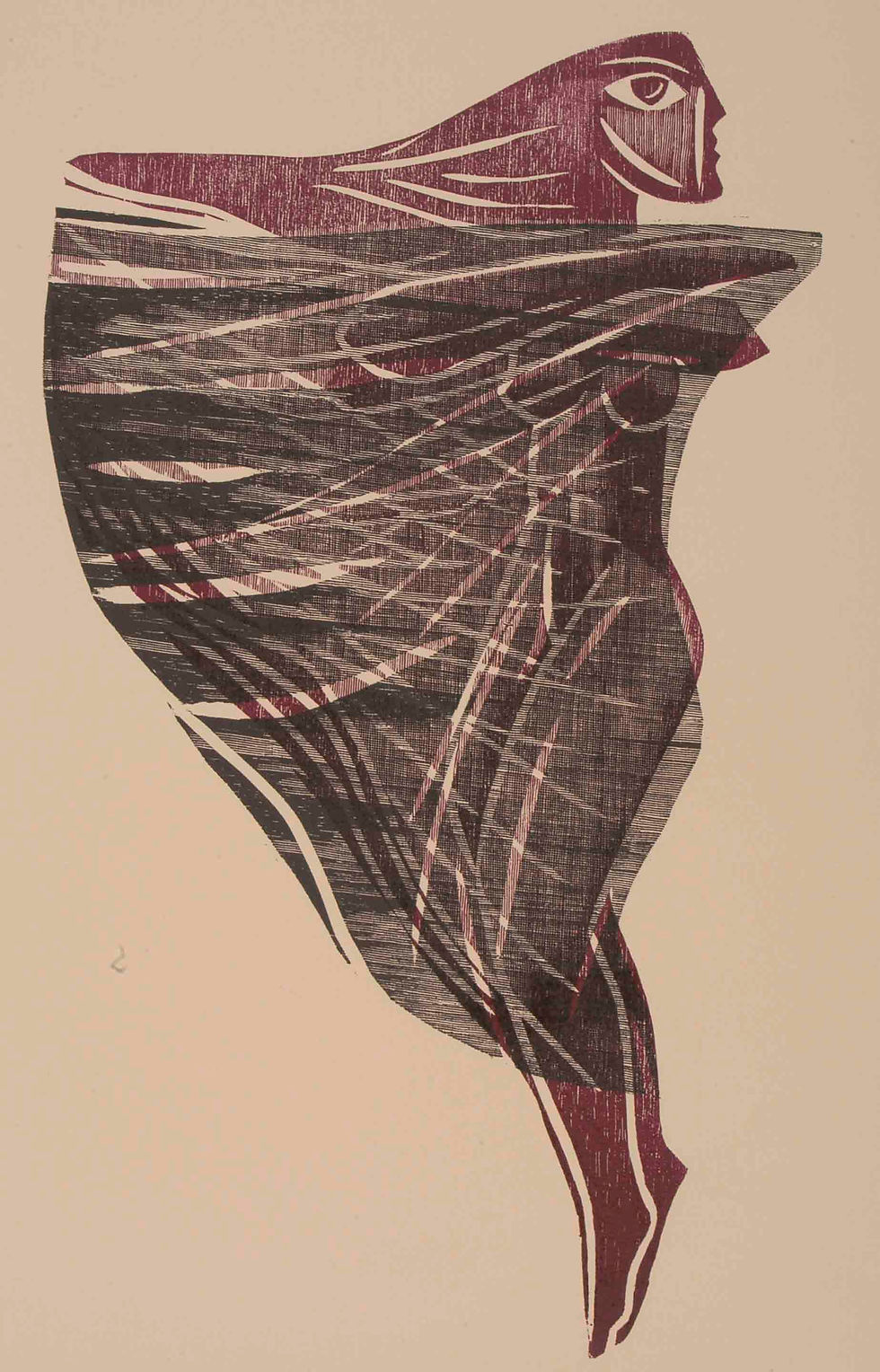 xilogravura ciro fernandes xilo nordeste paraíba flamenca grabado woodcut flamenca arte nordestina