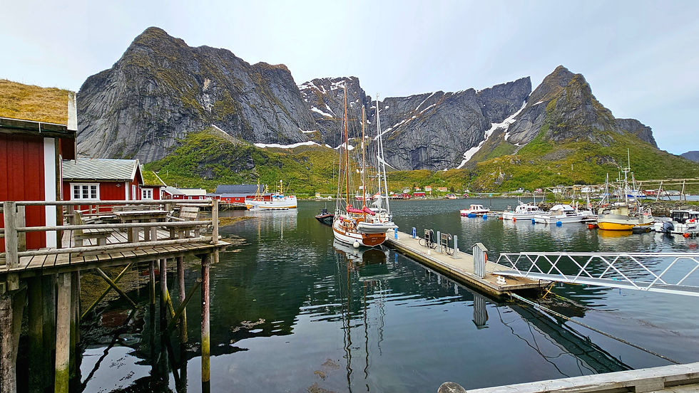 The beauty of Reine