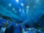 616036761_10239920063489126_2667569996182659871_n