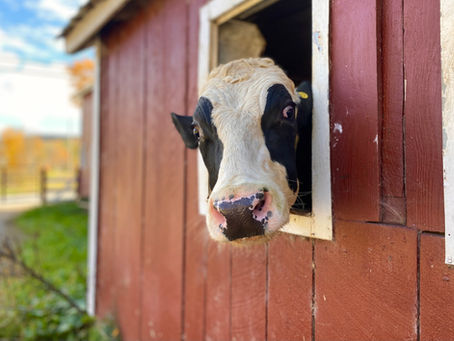 Manure Management with NRCS: A Water Quality Spotlight
