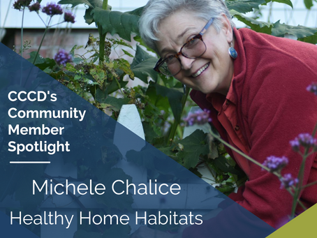 Winter Community Member Spotlight: Michele Chalice