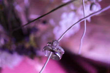 Diamond wedding rings on a branch