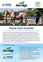 Final Aim High Horse Care (all levels) A5 Flyer 04.26 V1.png