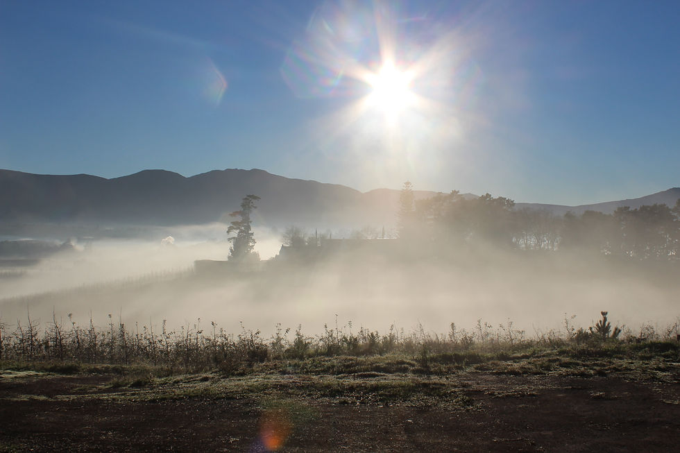 Sunrise from cottage verandah