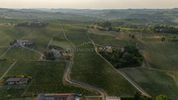 FARMHOUSE WITH VINEYARD FOR SALE — NIZZA MONFERRATO, ASTI — photo 8