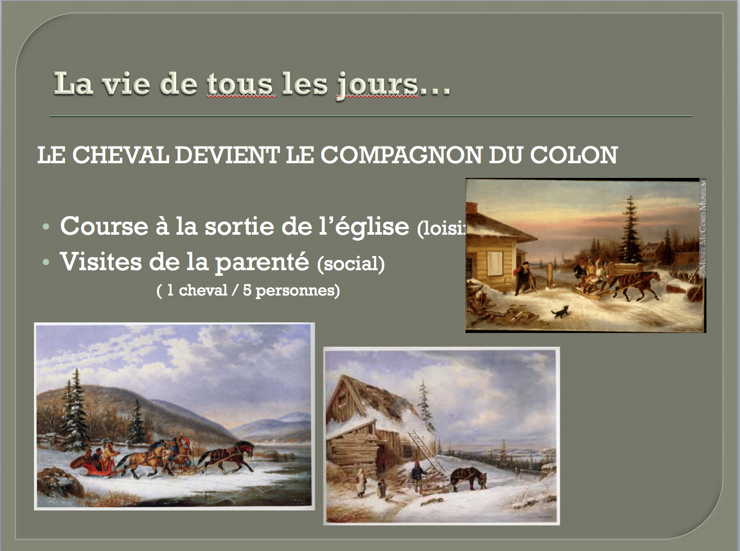 Le cheval canadien