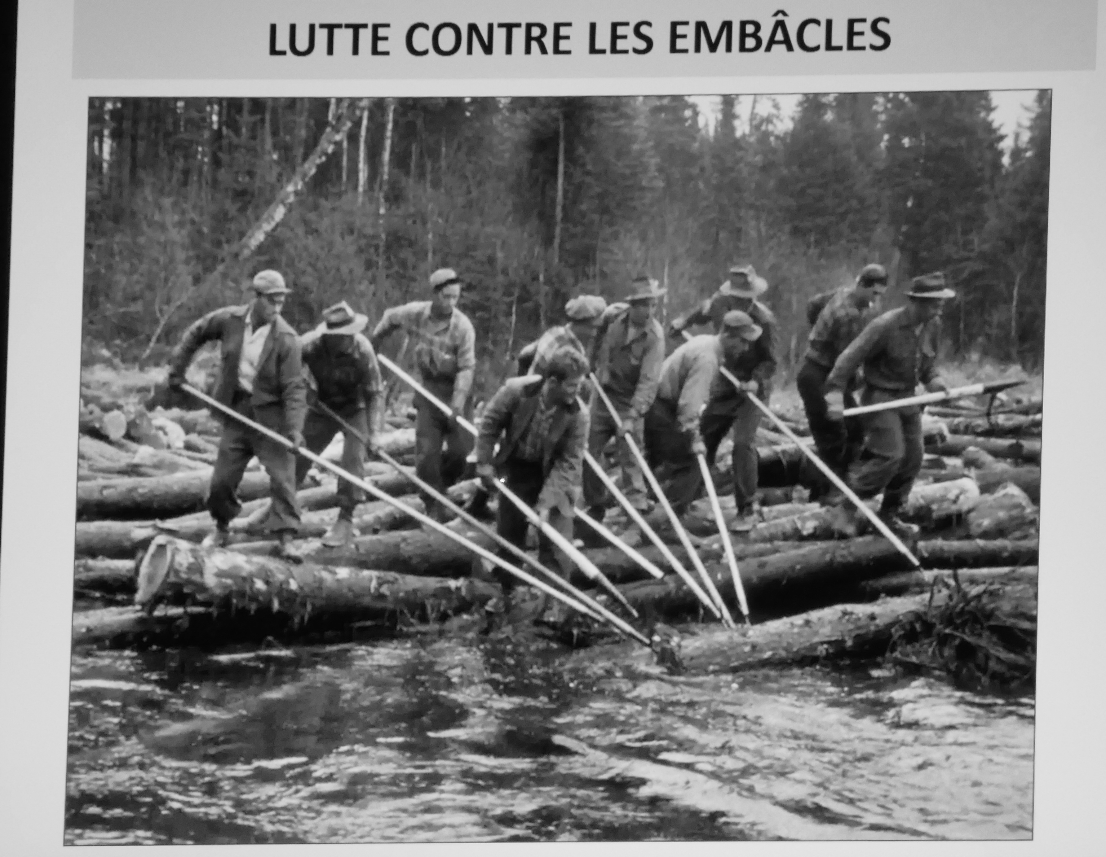 Histoire de la drave