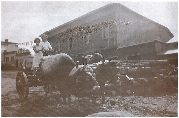Moulin_Larivière_1925_calendrier_juin_19
