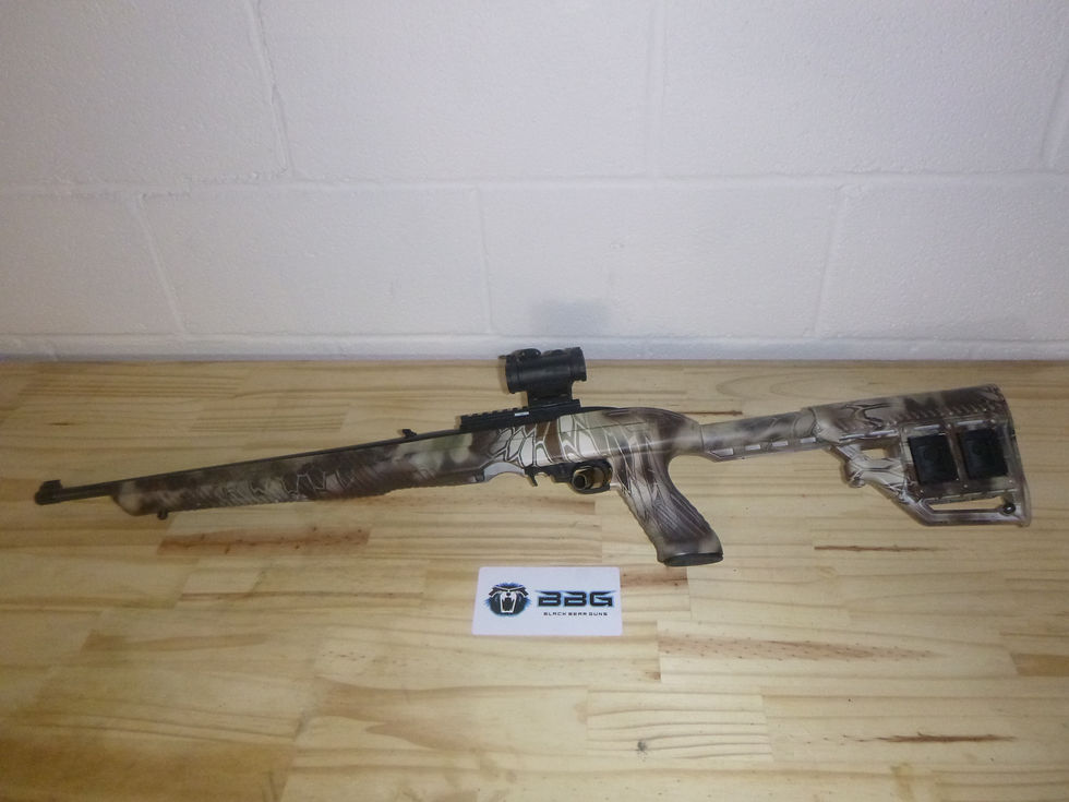 Thumbnail: Ruger 10/22 with Red Dot sight