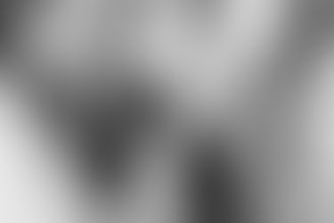 Defining Diversity and Developing Diversity IQ