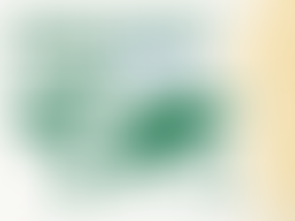 Global Rice Export Overview 2024–25