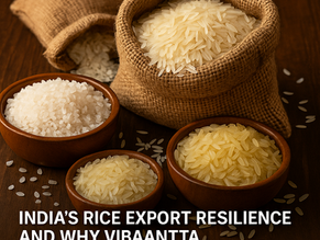 India’s Rice Export Resilience and Why Vibaantta Is Your Best Choice