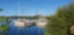 20240812_080831.jpg