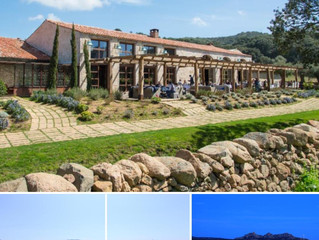 ESCAPE TO CORSICA!