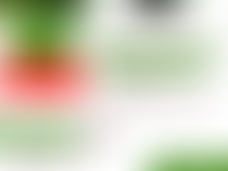 Offre découverte : massage assis Amma